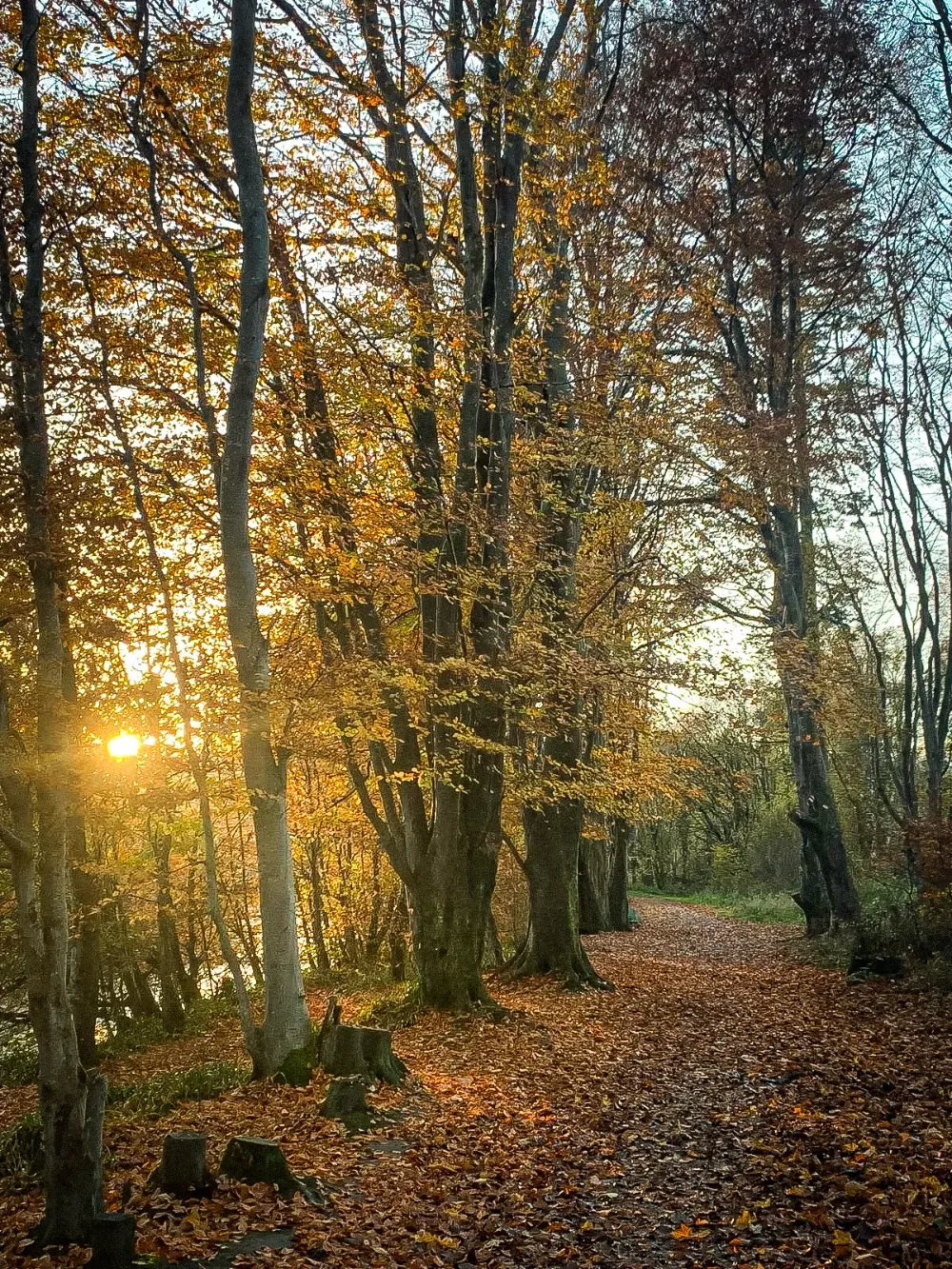 What's Happening in Galloway & South Ayrshire UNESCO Biosphere?