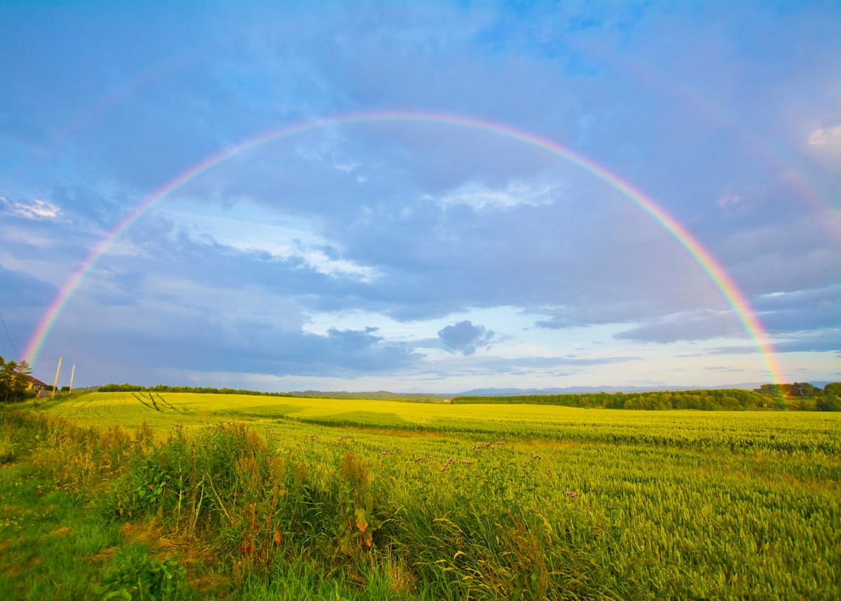 Rainbow over a field.