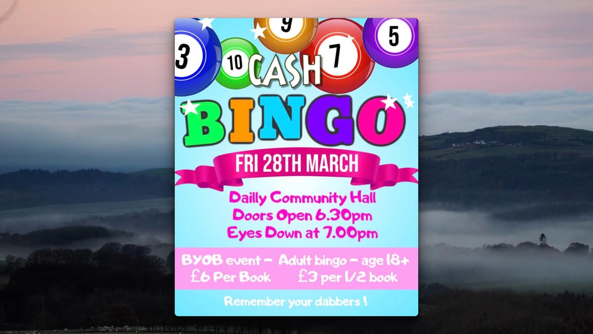 Flyer promoting Cash Bingo Night at Dailly Community Hall 28.03.25.