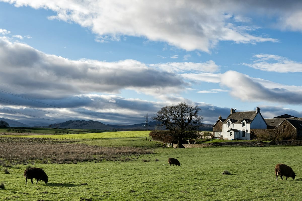 Picture of rural farm house and sheep in the fields in front.
