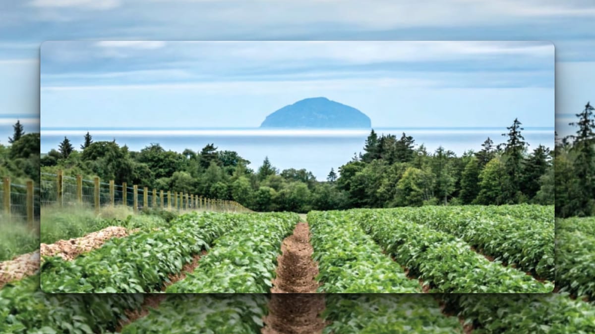 View of the Ailsa Craig from South Ayrshire famland.