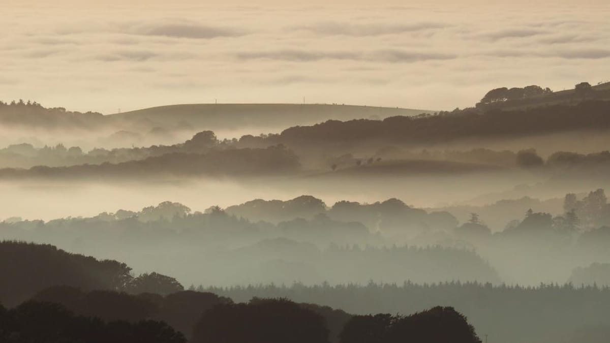 A misty glen over South Ayrshire
