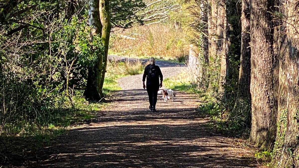 Woman and her dog walking along a countryside pathway in the sun. 