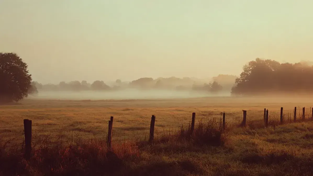 Mist over a rural landscape.