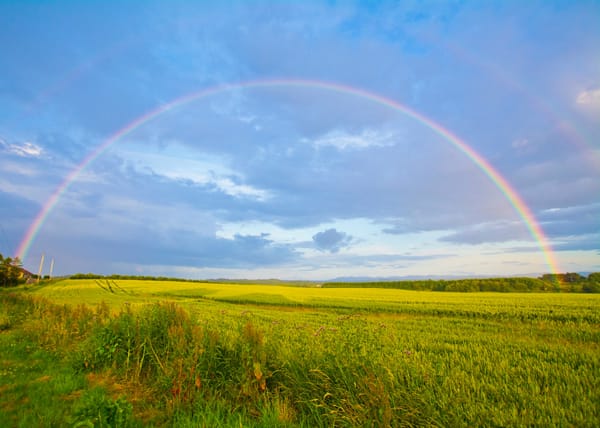 Rainbow over a field.