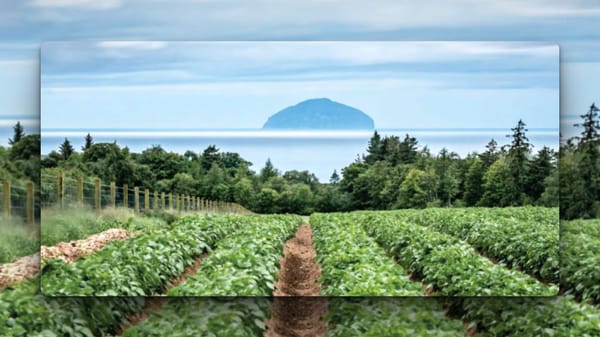 View of the Ailsa Craig from South Ayrshire famland.
