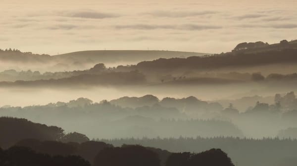 A misty glen over South Ayrshire