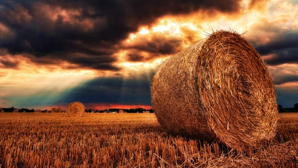 Hay bails beneath a moody sky