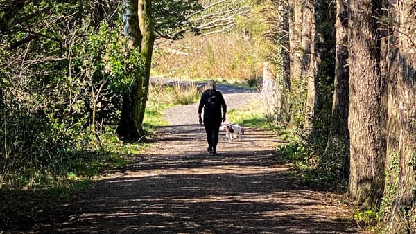 Woman and her dog walking along a countryside pathway in the sun. 