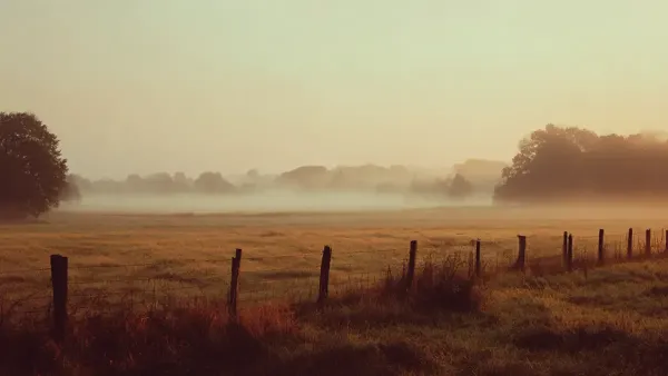 Mist over a rural landscape.