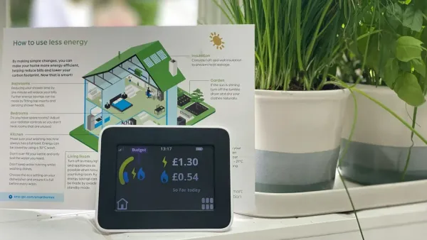 Smart Meter with how to instructions by two potted house plants.